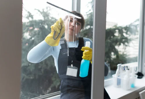 Nettoyage de vitres intérieures et extérieures à Changy